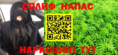 хмурый Сланцы